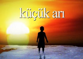 Küçük Arı / Chris Cleave Kitap Önerisi